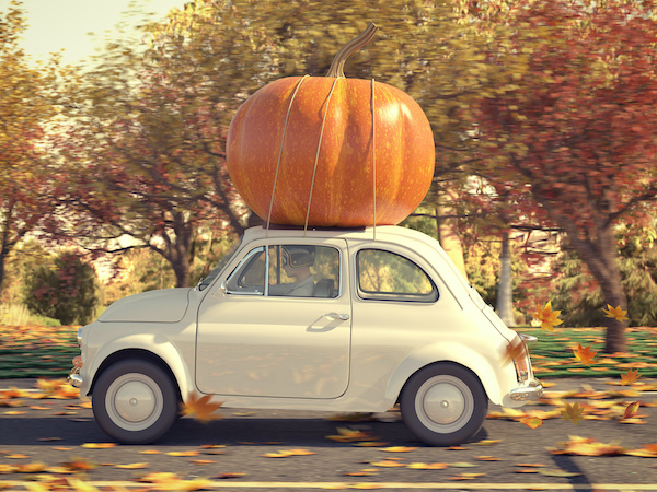 7 Vehicle Maintenance Items for the Autumn Season