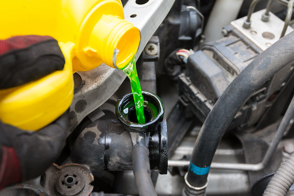 Does My Car Really Need Fluid Exchanges?